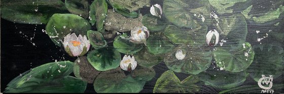 Silver Water Lilies