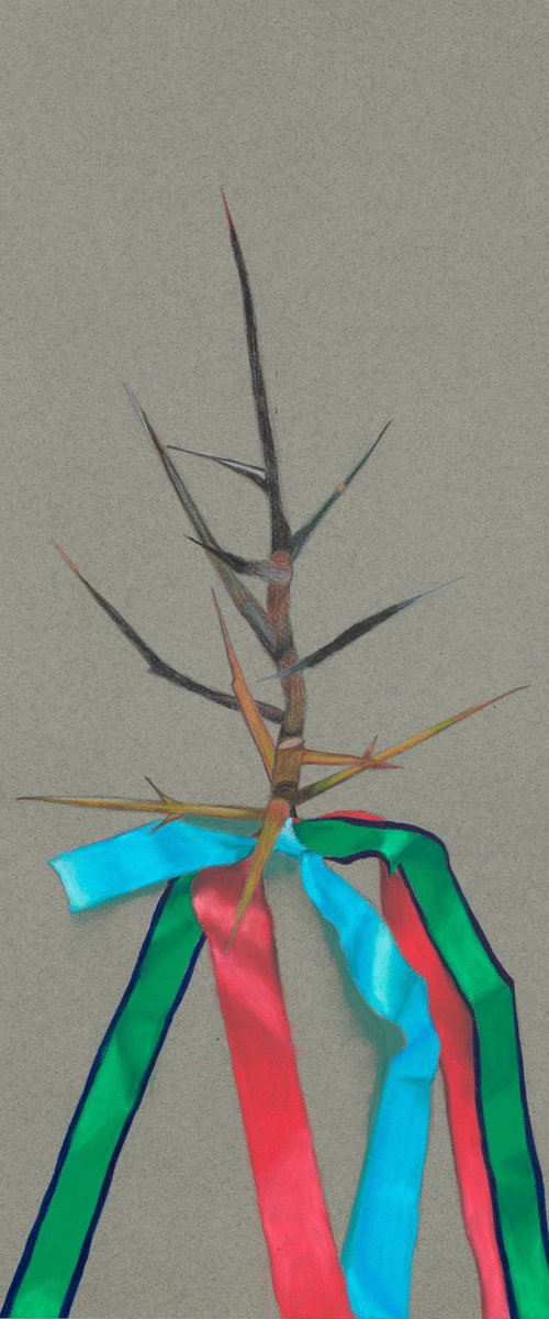 Collectors Item No. 2: Honey Locust Thorns by Kristine Facchetti