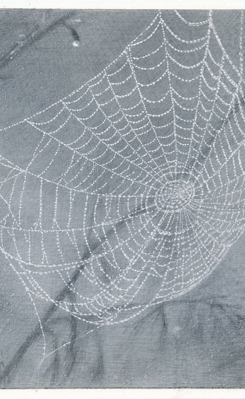 Spiderweb: Lace Doily by Yuliia Moiseieva