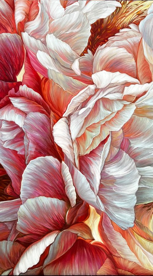 Peony by Elena