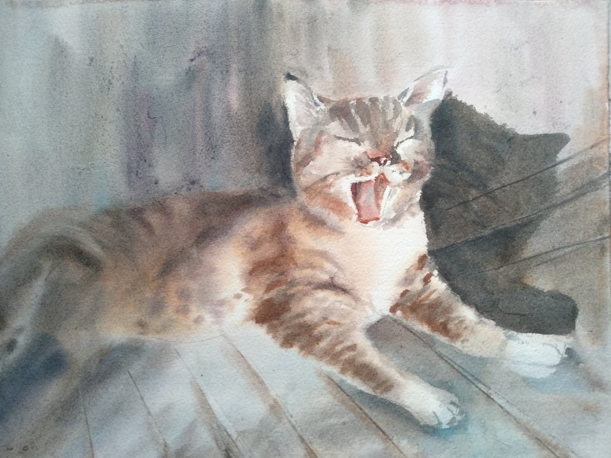 Cat by Nata New