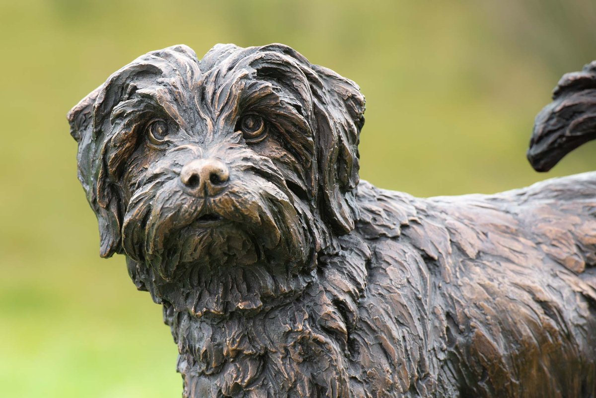 Animal Bronze Sculpture By Tanya Russell, 14 X 18", Norfolk Terrier Foundry Bronze, Original Artwork