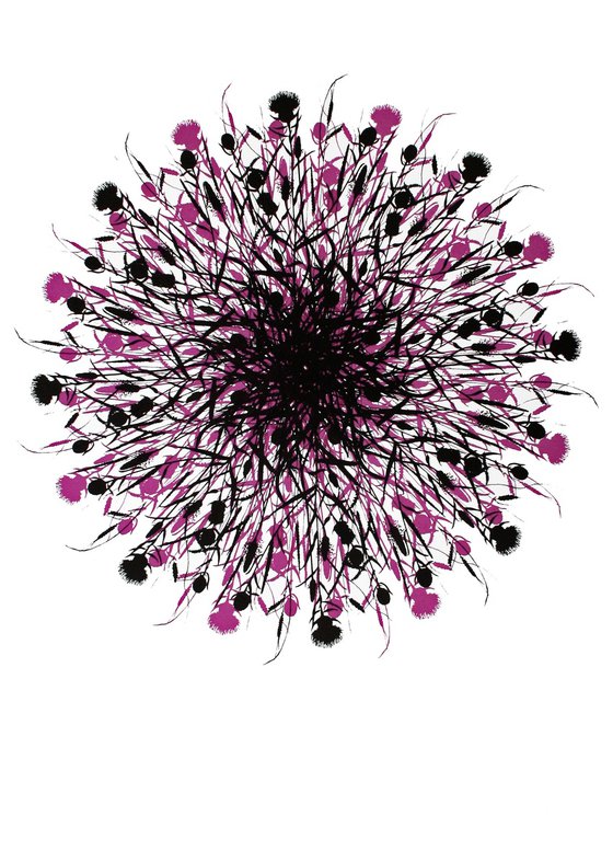Orbital #2 (pink)