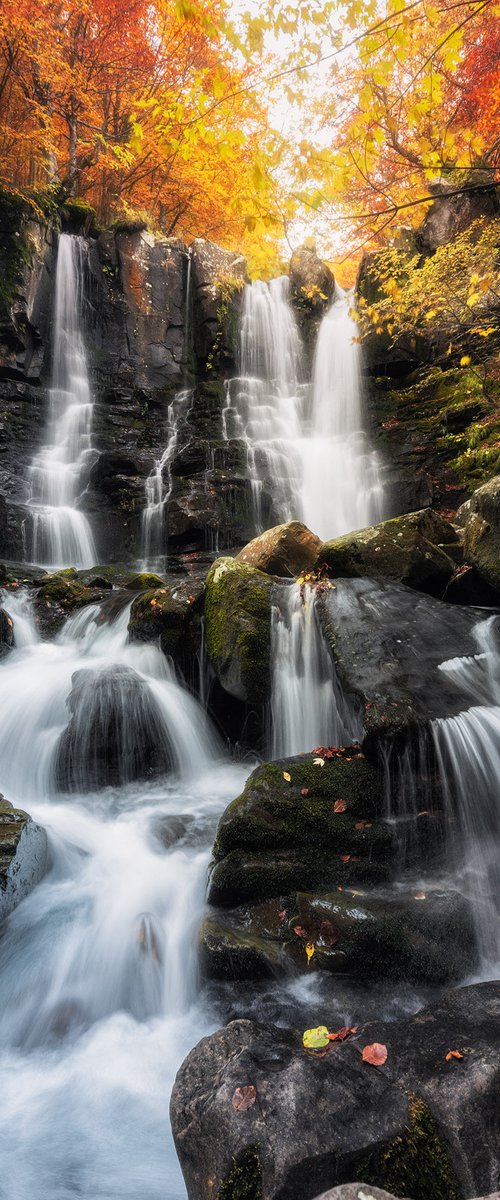 DARDAGNA FALLS - Photographic Print on 10mm Rigid Support by Giovanni Laudicina