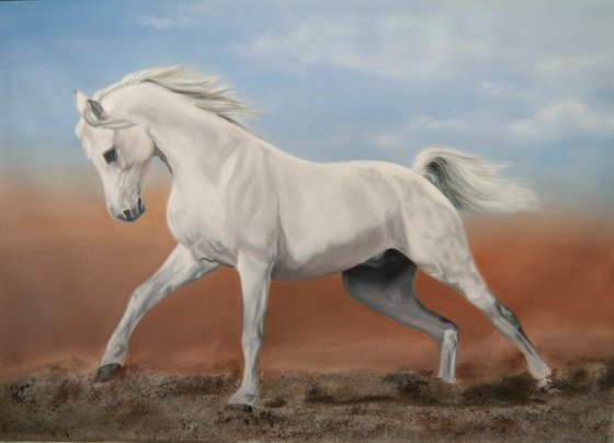 White horse