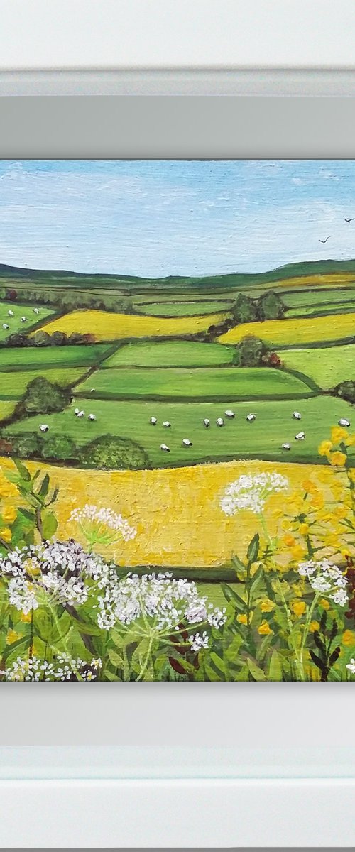 Golden fields by Carolynne Coulson