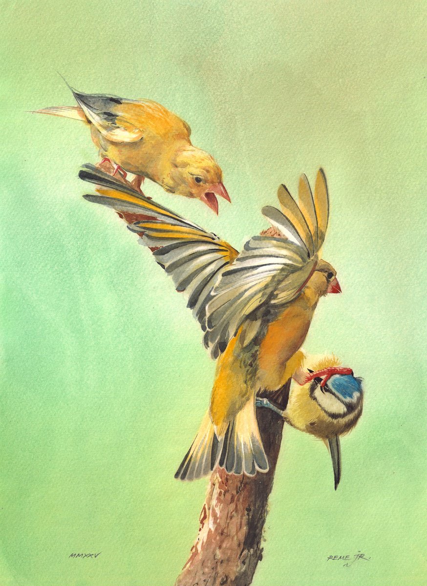 Impressionistic Animal Watercolour By Reme Jr., 9 X 13", Bird Fight, Original Artwork
