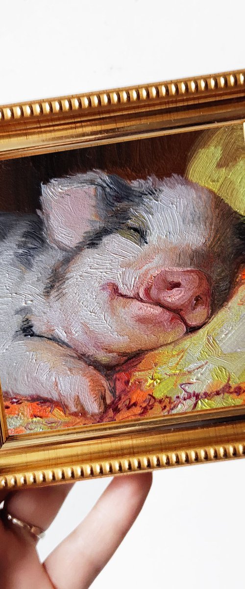 Pig sleeping portrait by Nataly Derevyanko