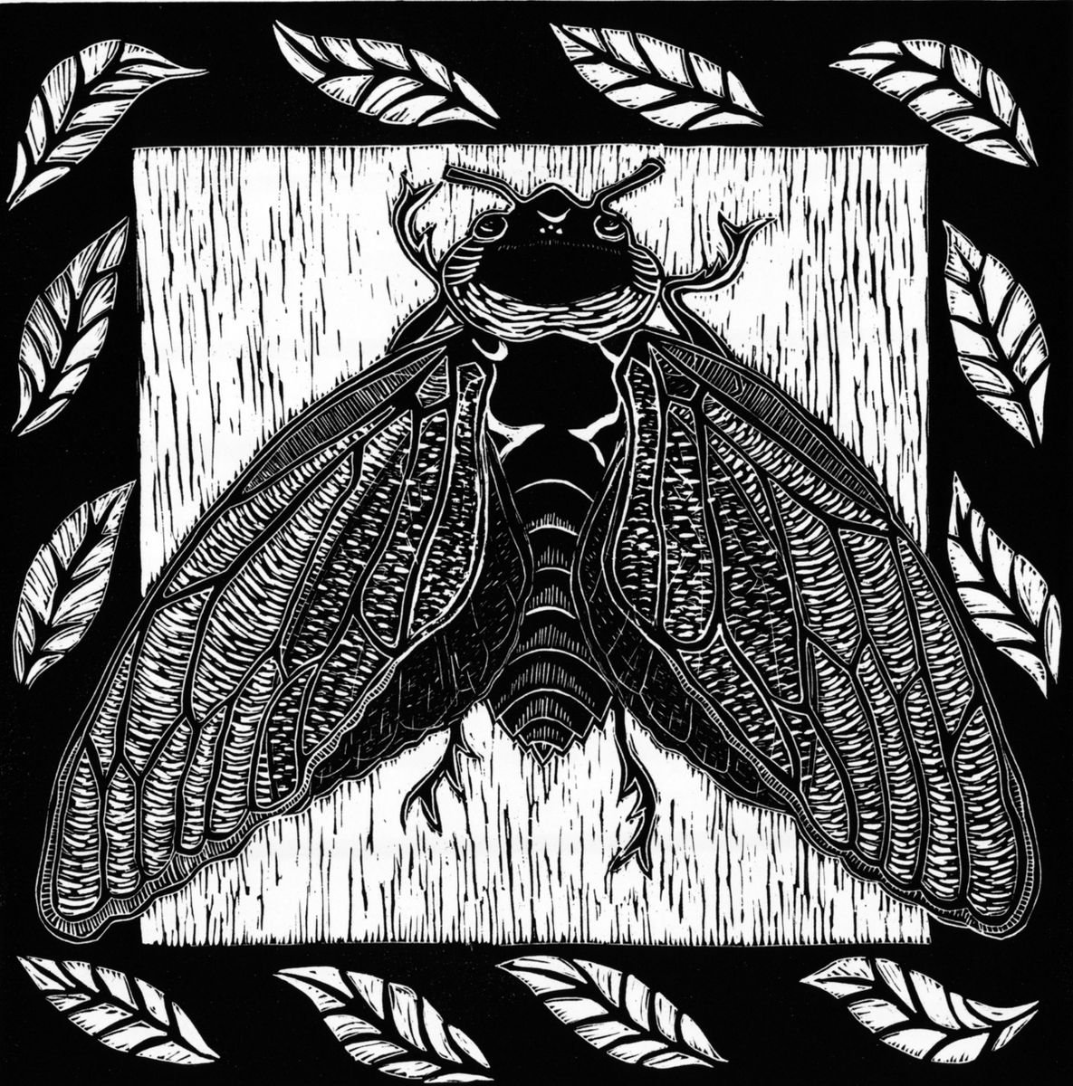 Cicada II by Mary Hick