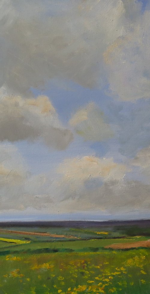 Wolds, May 26 by Malcolm Ludvigsen