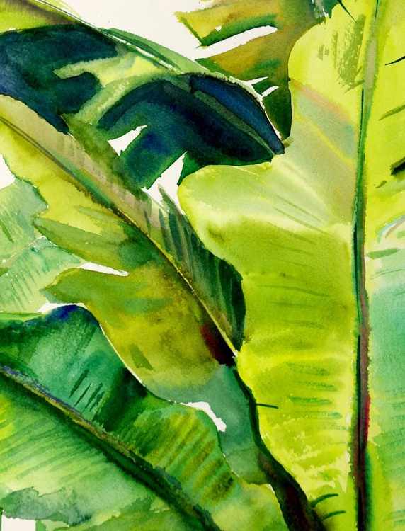 Banana Leaves Tropical Green Large Artwork Tro Artfinder
