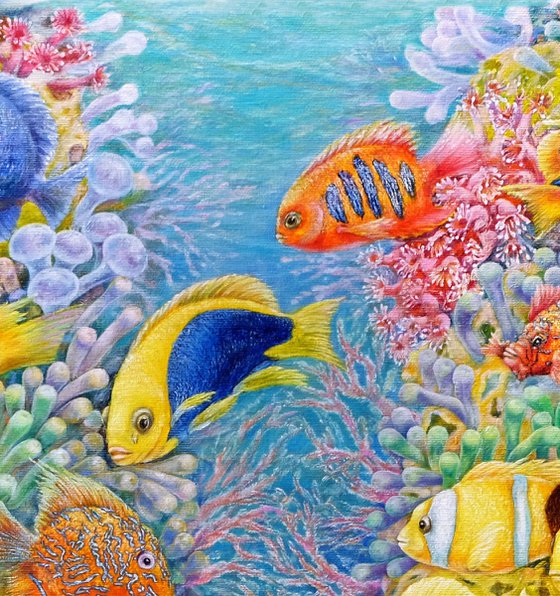 The Red Sea Reefs
