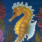 Seahorse