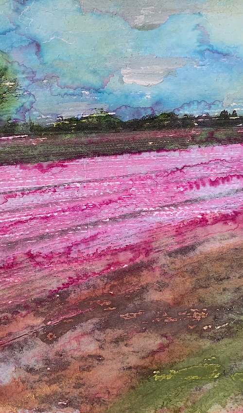 The Pink Field by Suzsi Corio