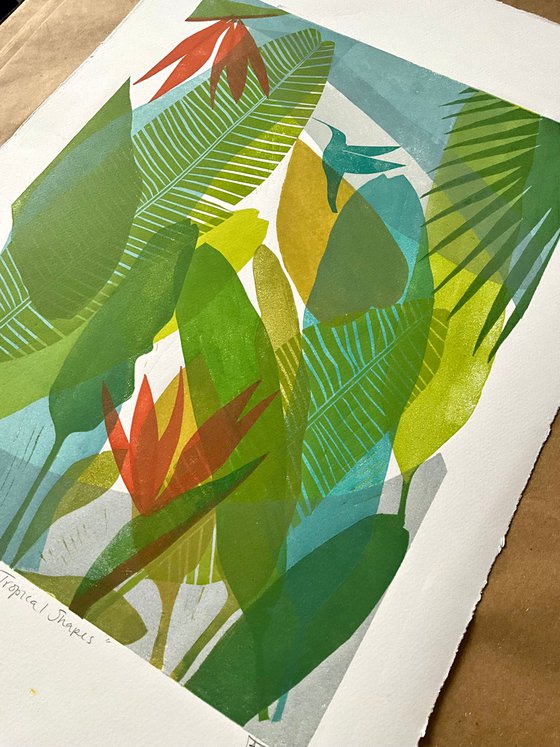 Tropical Shapes