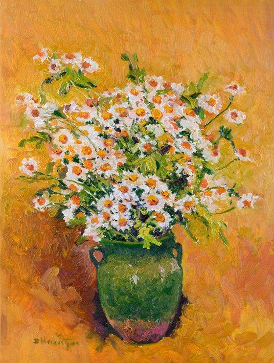 Chamomiles from Forest