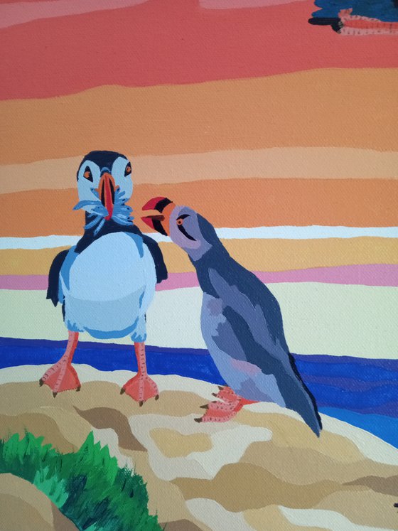 Circus of Puffins