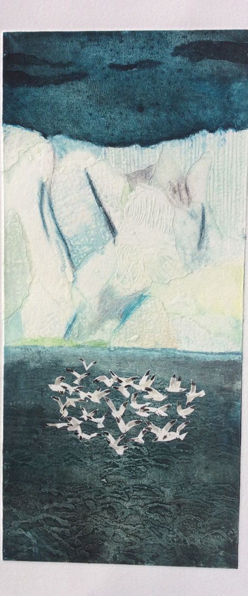 Kittiwakes at Kongsfjorden by Jay Seabrook