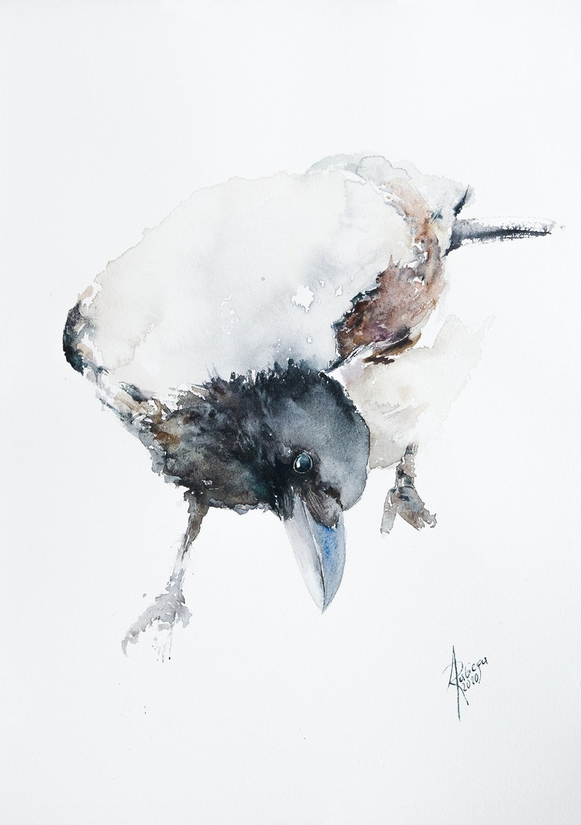 Hooded Crow by Andrzej Rabiega