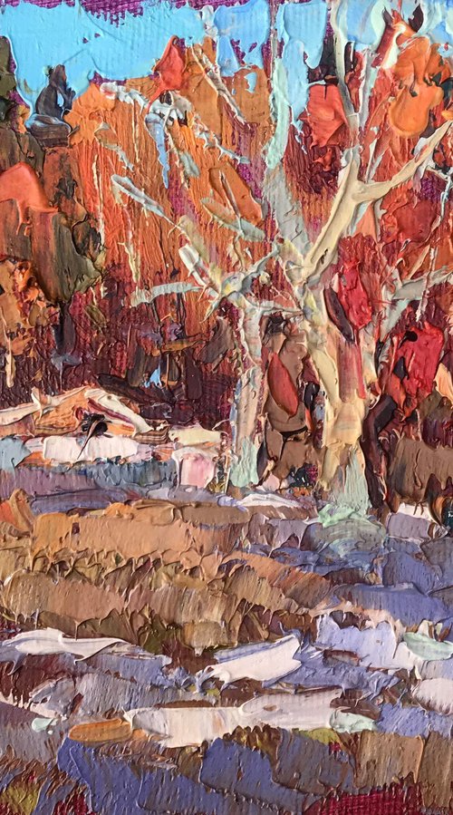 First Snow by Kalenyuk Alex