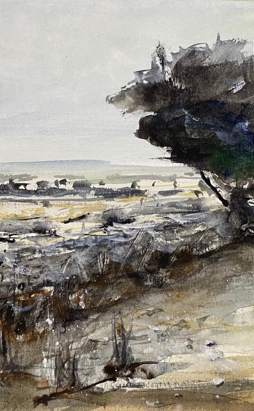 ...olive trees by Tihomir Cirkvencic
