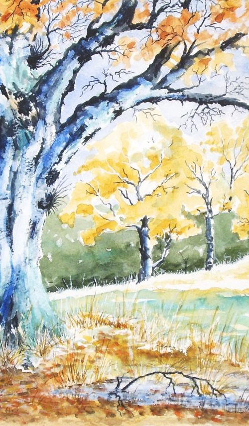 Old Tree in Autumn by Max Aitken