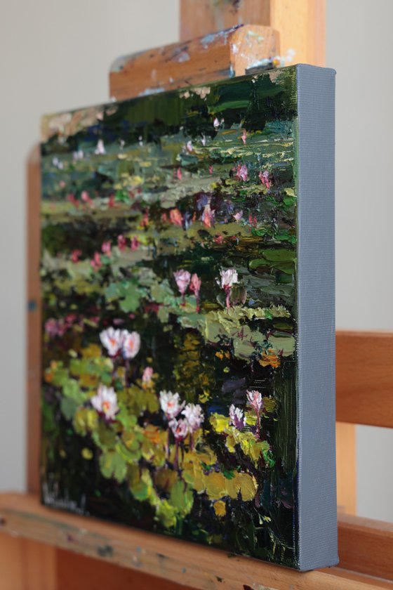 Blooming Water Lilies