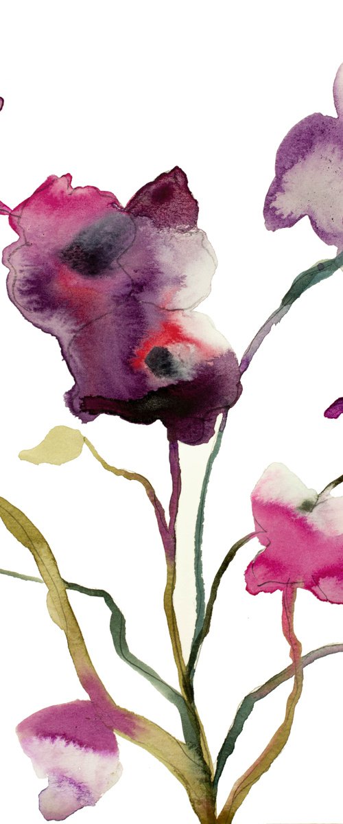 Orchid No. 5 by Elizabeth Becker