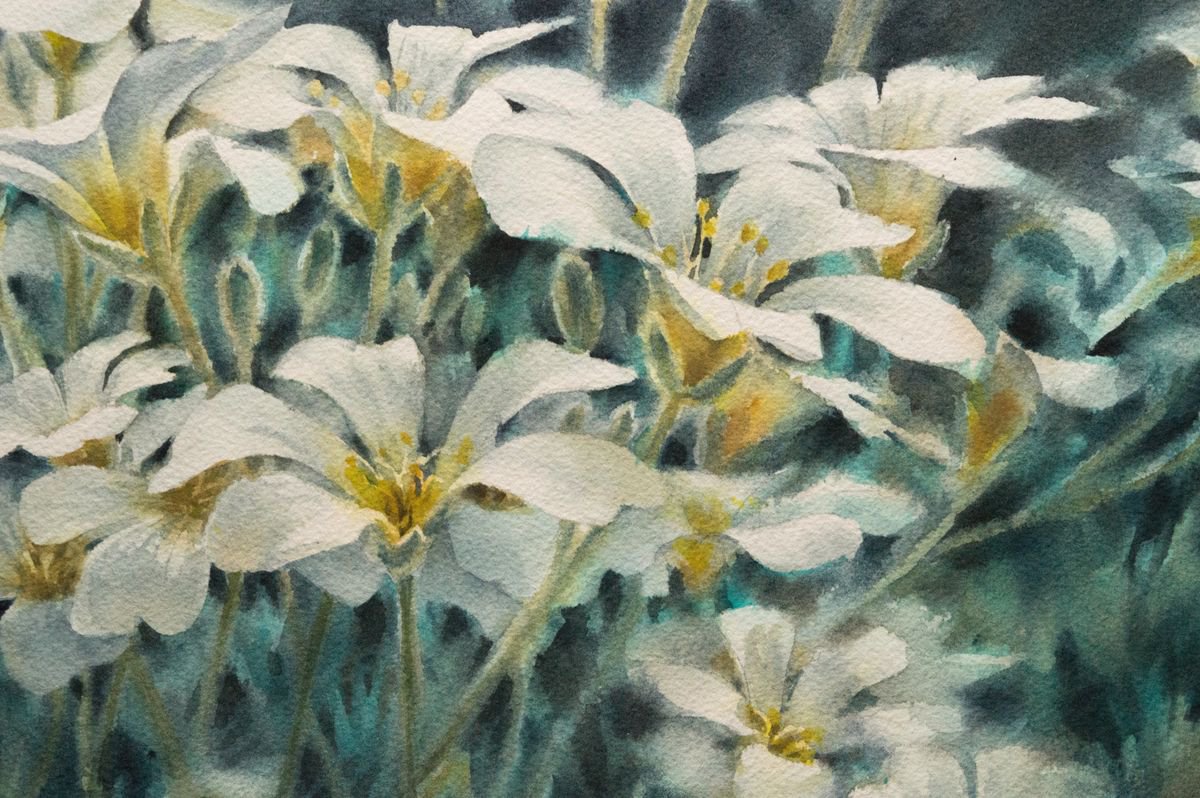 Impressionistic Botanical Watercolour By Lida Duchnewitsch, 27 X 20", White Flowers, Original Artwork