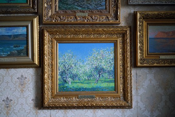 Apple tree in bloom. Kolomenskoye