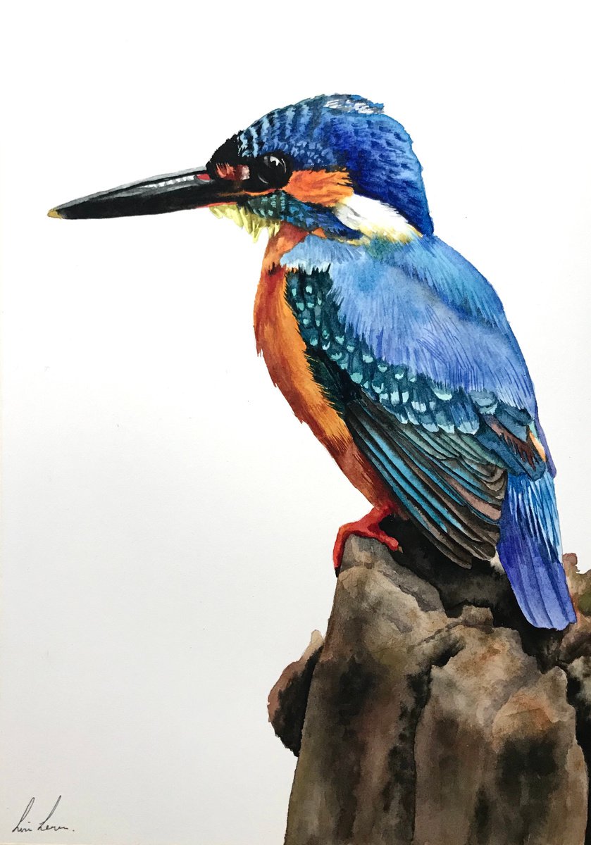 Animal Watercolour By Lisa Lennon, 8 X 12", Kingfisher, Original Artwork