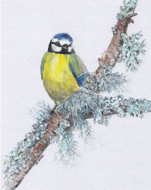 Blue Tit Bird on Mossy Branch by MARJANSART