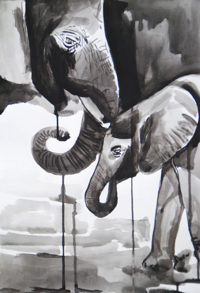 Elephants / 50 X 34 cm by Alexandra Djokic