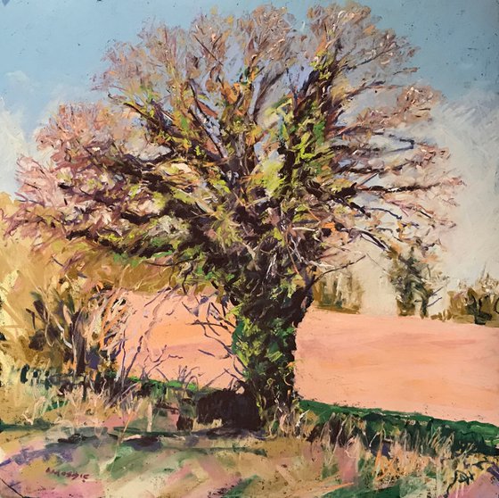 Tree Study