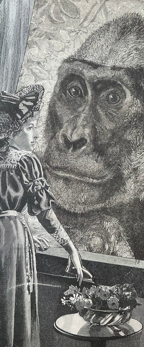 He was an ape, but she loved him by Tudor Evans