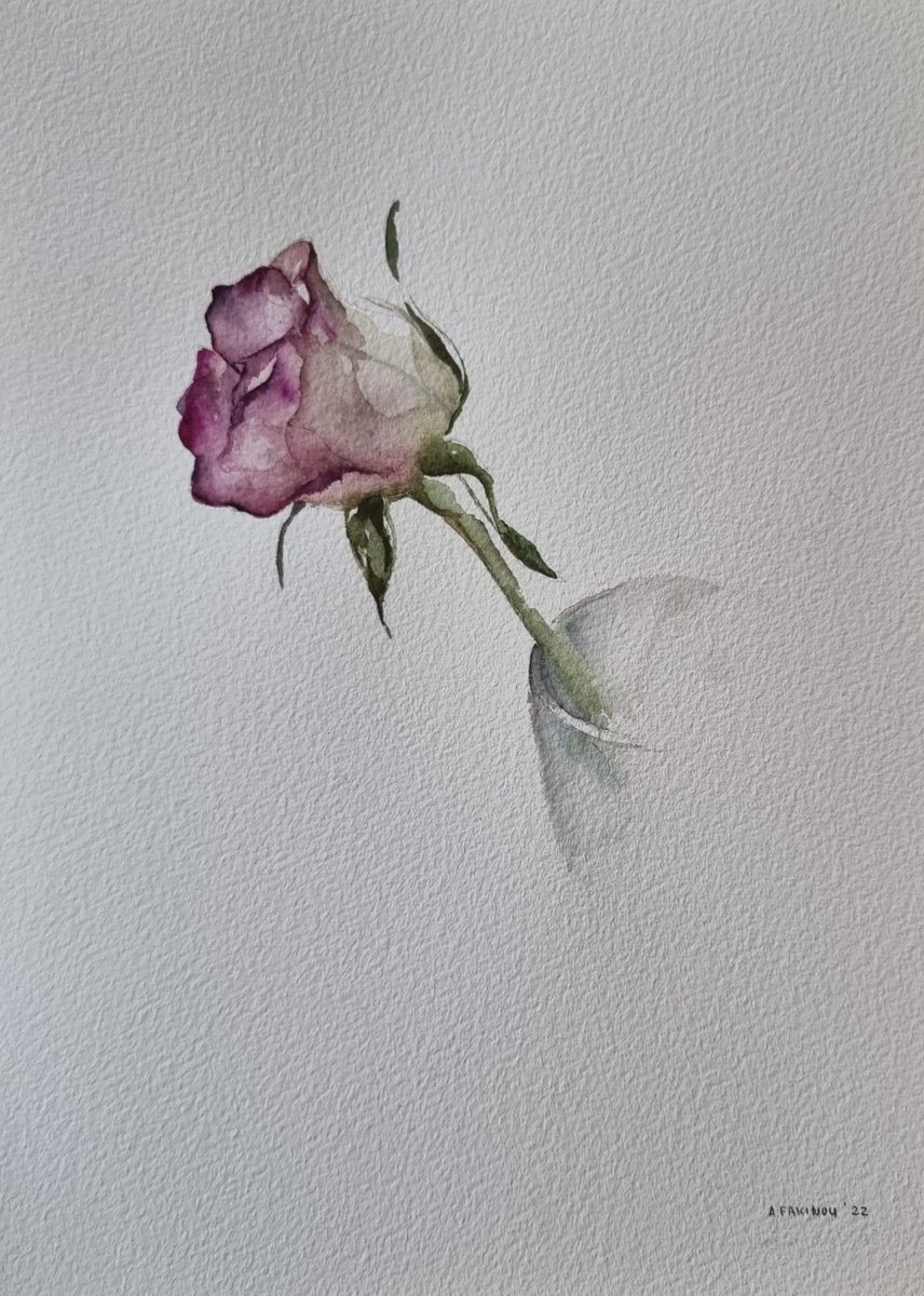Rose by Andriana Fakinou