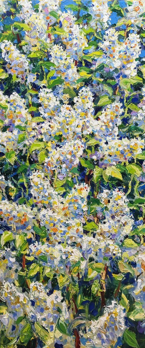 Breath of spring by Andrii Chebotaru