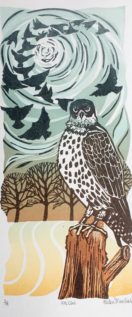Falcon by Helen Maxfield