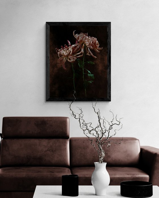 Vienna Copper Chrysanthemums