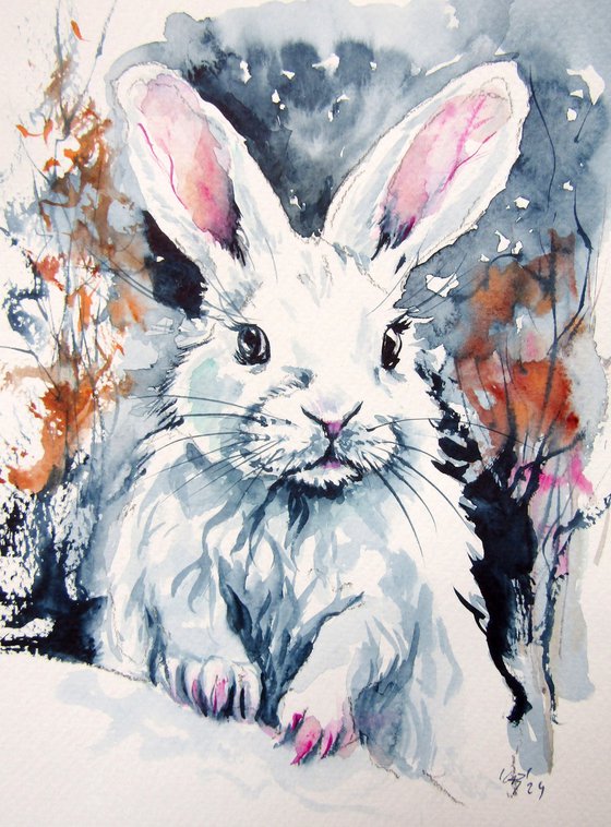 Animal collection
