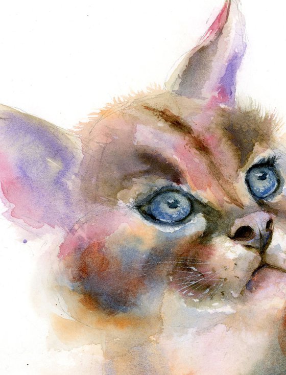 Caracal cat portrait