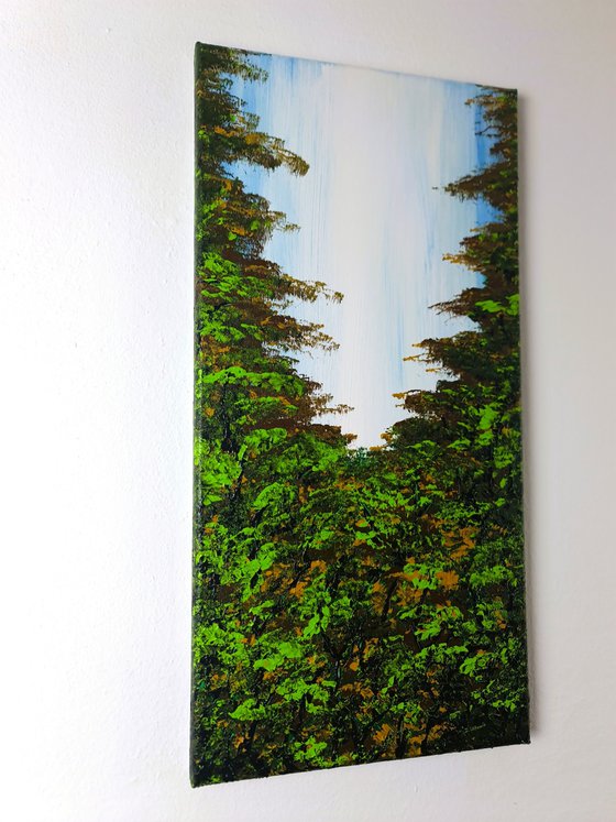 Nice Forest 3