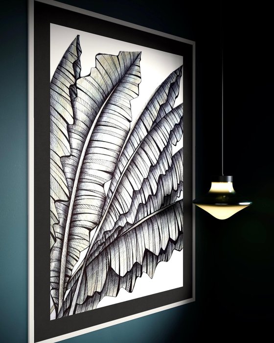 BANANA LEAVES DRAWING