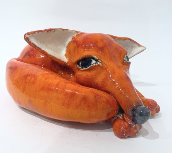 Foxy Loxy