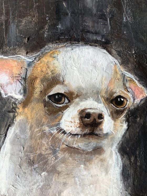 CHIHUAHUA