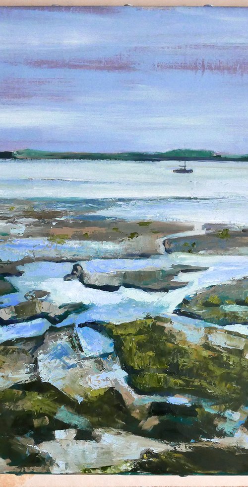 Rocky Shoreline by Isabel Hutchison