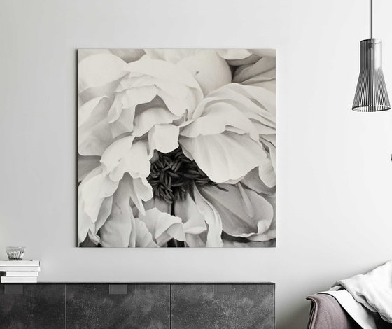 "Blossomed peony" Black white flower oil art