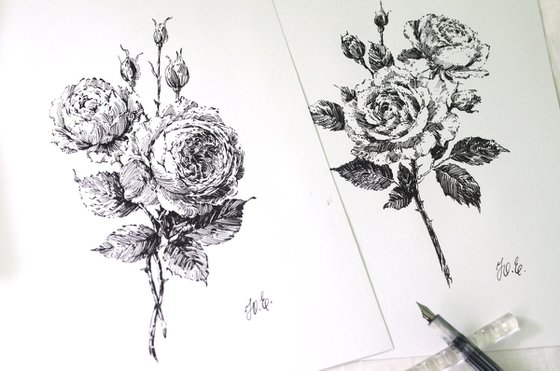 Ink David Austin Roses