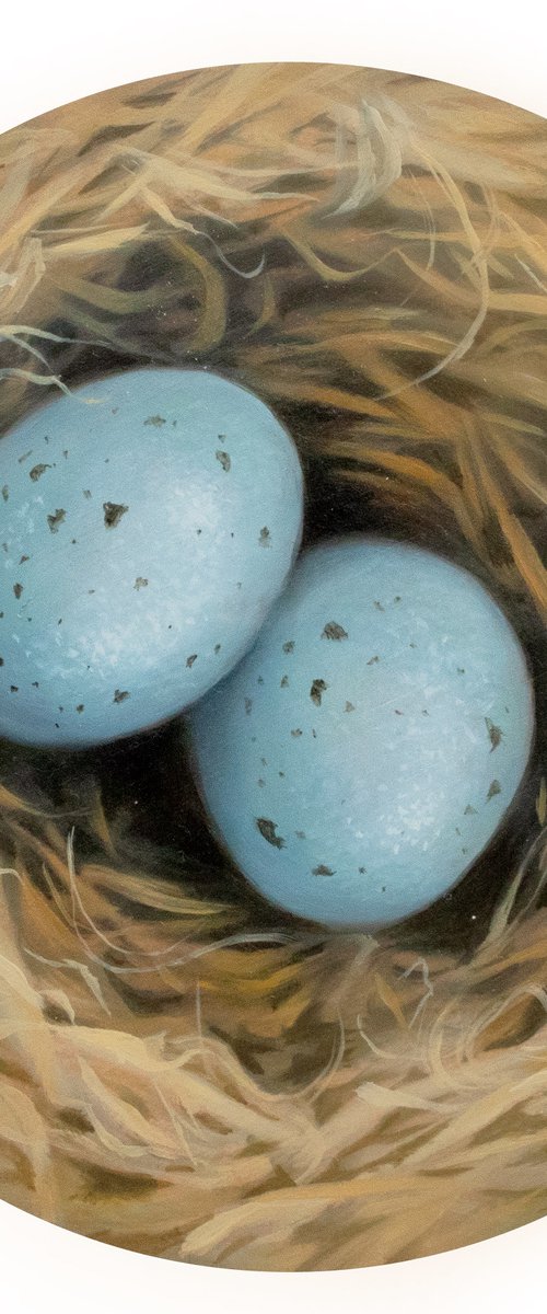 Beginning 2. / Bird's nest by Yuko Montgomery