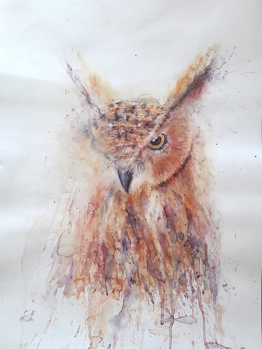 Owl Watercolor Painting by Sveta Hubmann